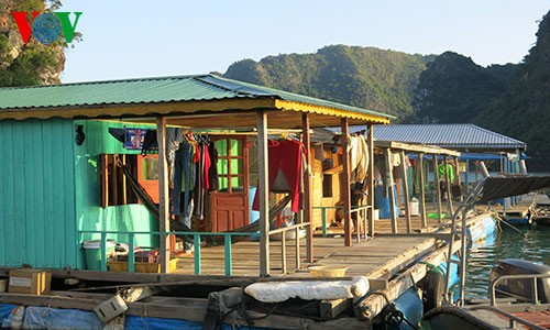 Fishing villages in the sea - ảnh 7